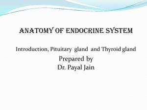 Anatomy of Endocrine System