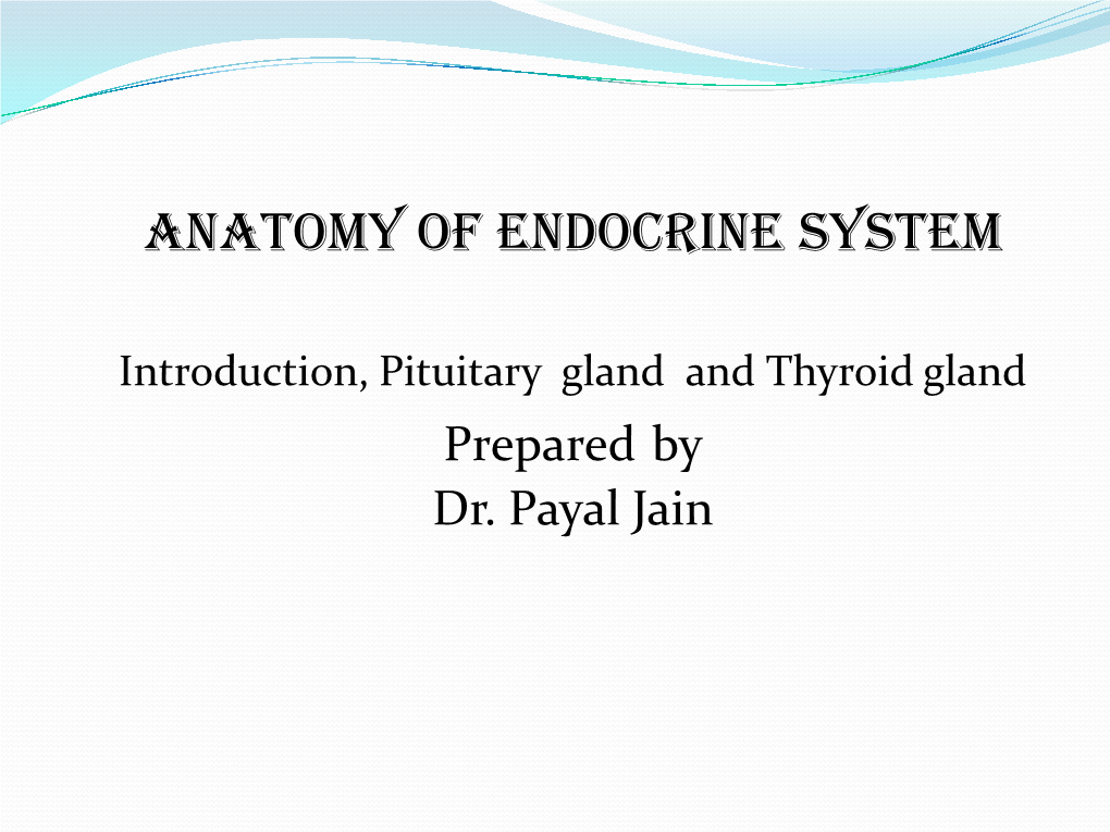 Anatomy Of Endocrine System Docslib