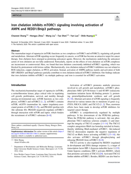 Iron Chelation Inhibits Mtorc1 Signaling Involving Activation of AMPK and REDD1/Bnip3 Pathways