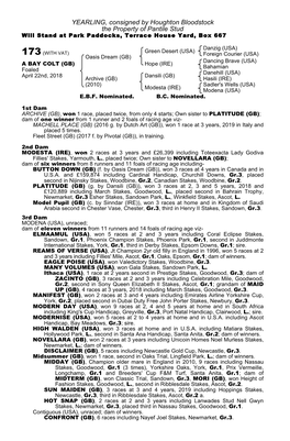 YEARLING, Consigned by Houghton Bloodstock the Property of Pantile Stud Will Stand at Park Paddocks, Terrace House Yard, Box 667