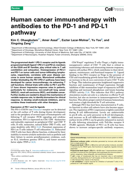 Human Cancer Immunotherapy with Antibodies to the PD-1 and PD-L1