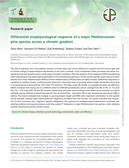 Differential Ecophysiological Response of a Major Mediterranean Pine