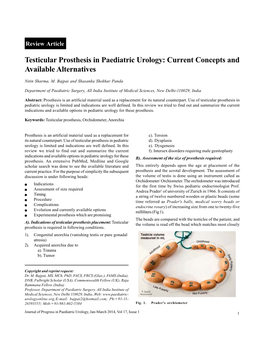 Testicular Prosthesis in Paediatric Urology: Current Concepts and Available Alternatives