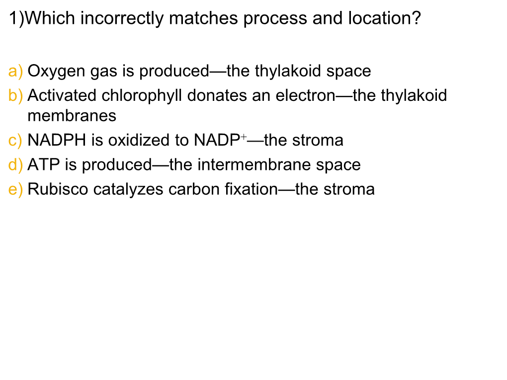 A) Thylakoid Membrane