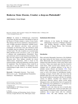 Benkovac Stone (Eocene, Croatia): a Deep-Sea Plattenkalk?