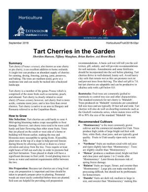 Tart Cherries in the Garden Sheriden Hansen, Tiffany Maughan, Brian Barlow, and Brent Black