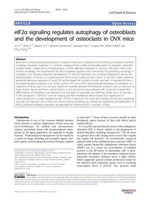 Eif2α Signaling Regulates Autophagy of Osteoblasts and the Development of Osteoclasts in OVX Mice