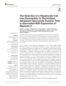 The Selection of a Hepatocyte Cell Line Susceptible to Plasmodium Falciparum Sporozoite Invasion That Is Associated with Expression of Glypican-3