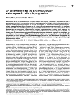 An Essential Role for the Leishmania Major Metacaspase in Cell Cycle Progression