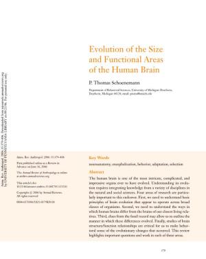 Evolution of the Size and Functional Areas of the Human Brain