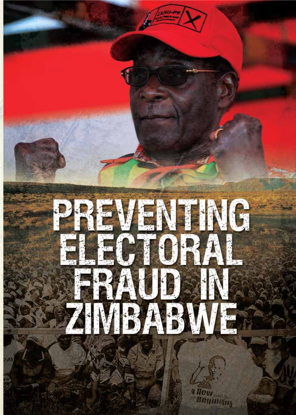 Preventing Electoral Fraud in Zimbabwe