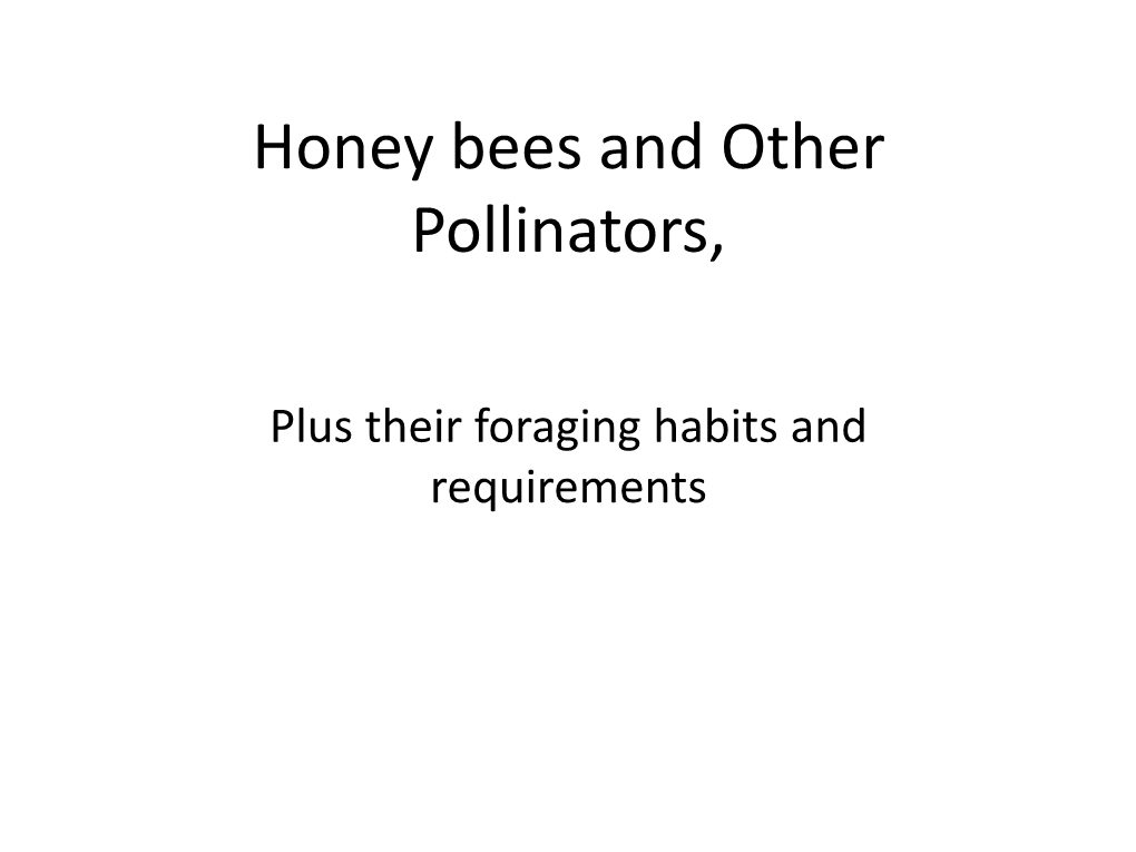 Honey Bees and Other Pollinators