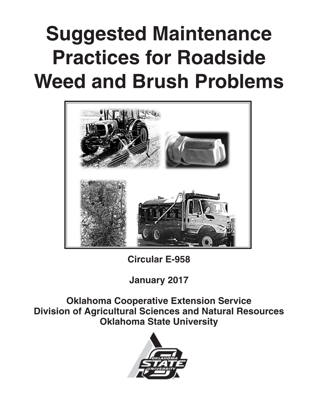 Suggested Maintenance Practices for Roadside Weed and Brush Problems