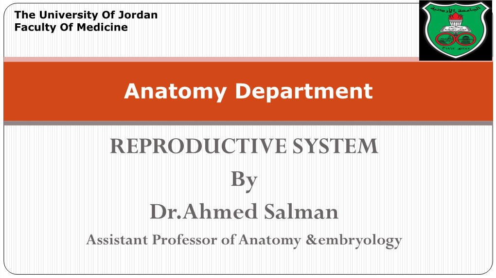 REPRODUCTIVE SYSTEM by Dr.Ahmed Salman Assistant Professor of Anatomy &Embryology Male Genital System Learning Objectives