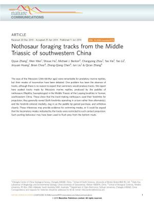 Nothosaur Foraging Tracks from the Middle Triassic of Southwestern China