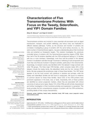 Characterization of Five Transmembrane Proteins: with Focus on the Tweety, Sideroﬂexin, and YIP1 Domain Families