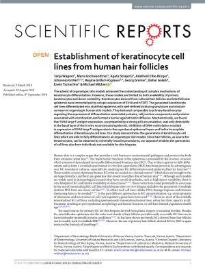 Establishment of Keratinocyte Cell Lines from Human Hair Follicles