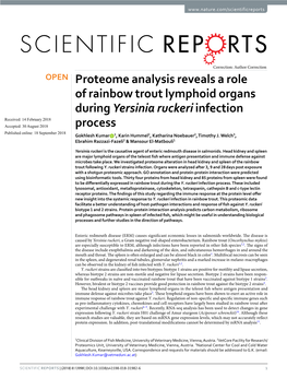 Proteome Analysis Reveals a Role of Rainbow Trout Lymphoid Organs During Yersinia Ruckeri Infection Process