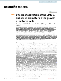 Effects of Activation of the LINE-1 Antisense Promoter on the Growth of Cultured Cells