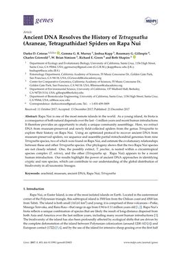 (Araneae, Tetragnathidae) Spiders on Rapa Nui