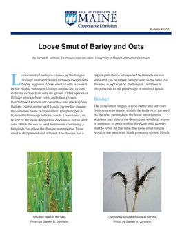 Bulletin #1016, Loose Smut of Barley and Oats