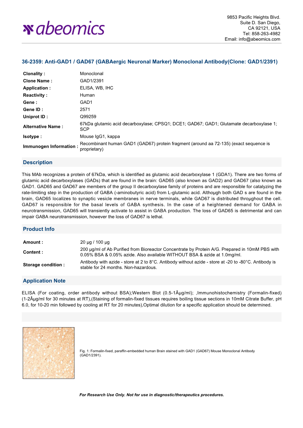 Monoclonal Antibody(Clone: GAD1/2391)