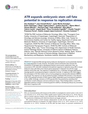 ATR Expands Embryonic Stem Cell Fate Potential in Response to Replication