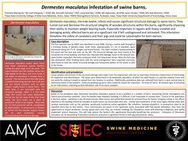 Dermestes Maculatus Infestation of Swine Barns