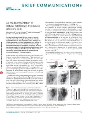 Dense Representation of Natural Odorants in the Mouse Olfactory Bulb