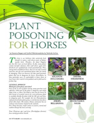 Plant Poisoning for Horses