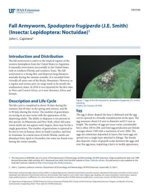 Fall Armyworm, Spodoptera Frugiperda (JE Smith)