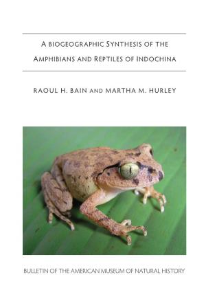 A Biogeographic Synthesis of the Amphibians and Reptiles of Indochina