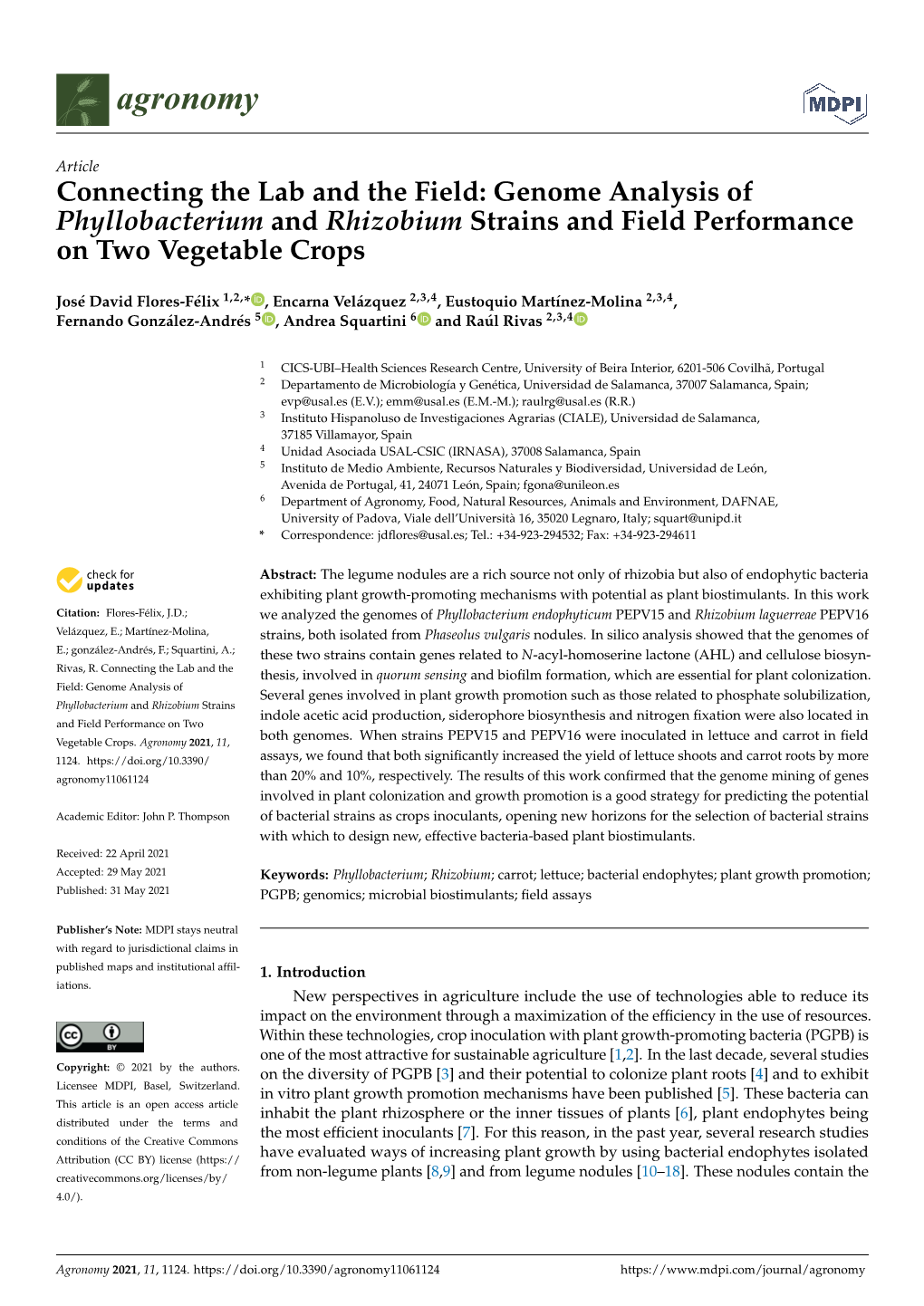 Genome Analysis of Phyllobacterium and Rhizobium Strains and Field Performance on Two Vegetable Crops