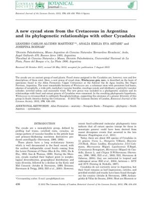 A New Cycad Stem from the Cretaceous in Argentina and Its Phylogenetic Relationships with Other Cycadales