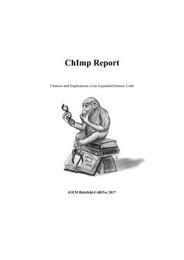 Chimp Report