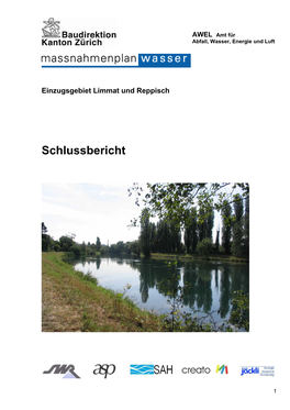 Schlussbericht – Einzugsgebiet Limmat Und Reppisch, AWEL 2005