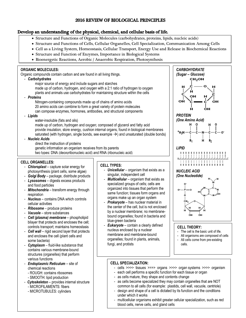 Biology Principles Review