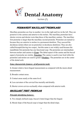 Dental Anatomy Lecture (7)