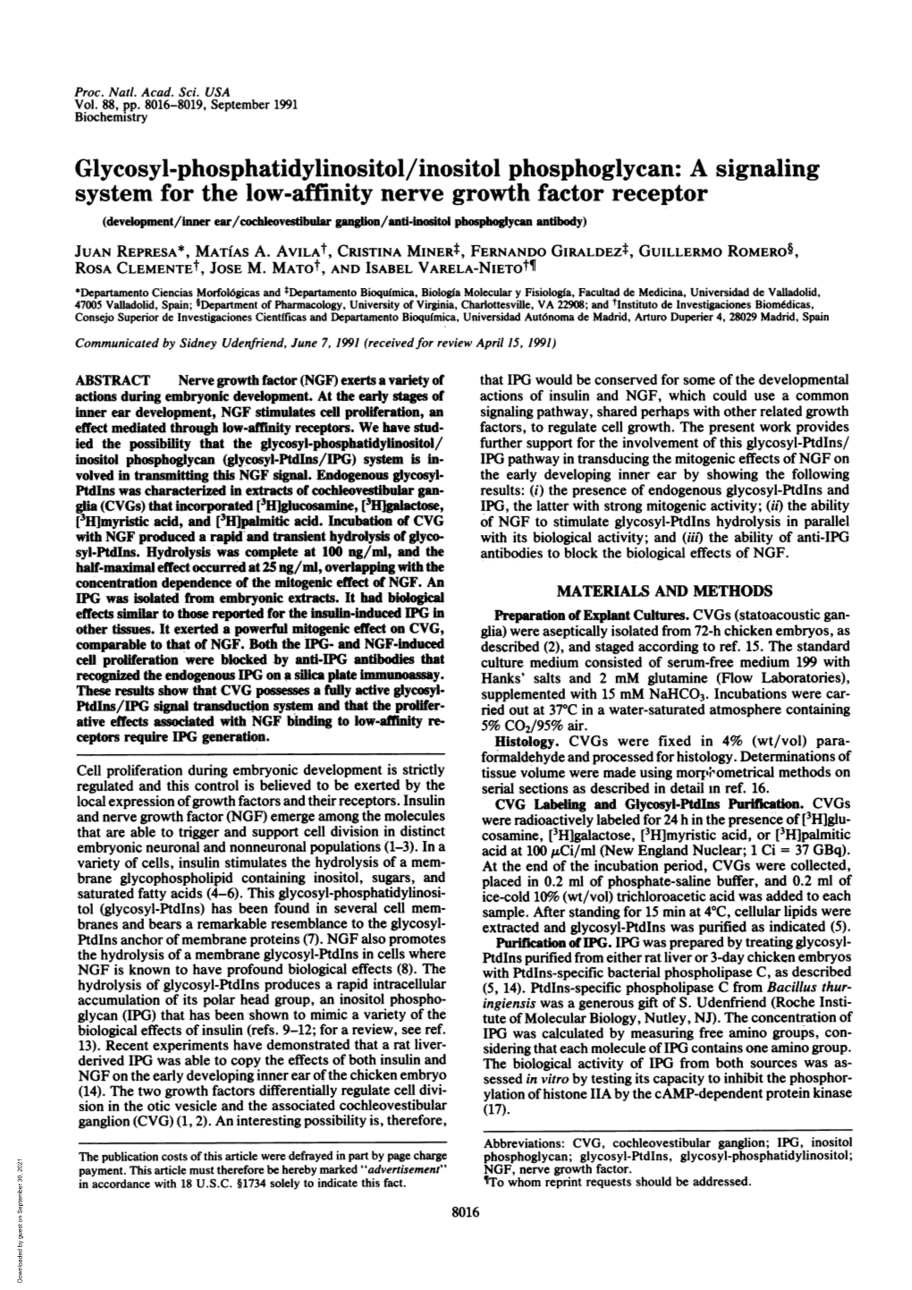 Glycosyl-Phosphatidylinositol/Inositol Phosphoglycan