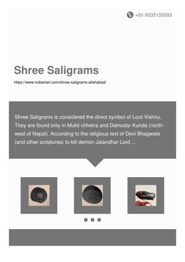 Shree Saligrams