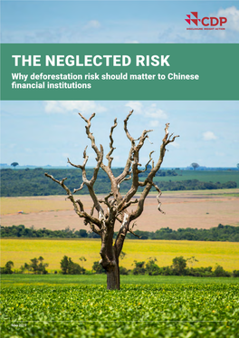 THE NEGLECTED RISK Why Deforestation Risk Should Matter to Chinese Financial Institutions