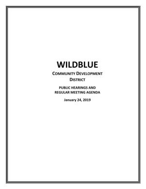 Wildblue CDD January 24, 2019 Meeting Agenda