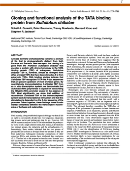 Protein from Sulfolobus Shibatae Sohail A
