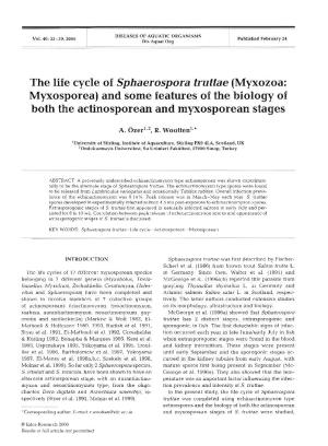 The Life Cycle of Sphaerospora Truttae (Myxozoa: Myxosporea) and Some Features of the Biology of Both the Actinosporean and Myxosporean Stages
