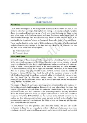 The Glocal University 14/03/2020 PLANT ANATOMY GBBT/GBMB-202
