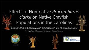 Effects of Non-Native Procambarus Clarkii on Native Crayfish Populations in the Carolinas Kendrick1, M.R., E.B