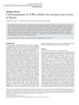 Carboxypeptidase E (CPE) Inhibits the Secretion and Activity of Wnt3a
