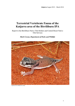 Terrestrial Vertebrate Fauna of the Katjarra Area of the Birriliburu IPA