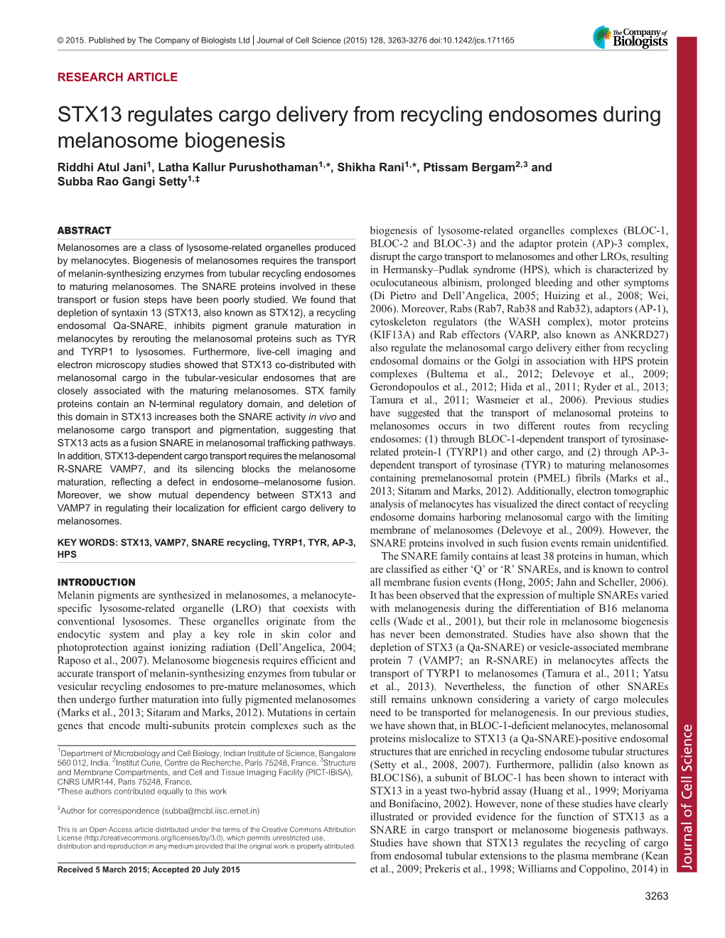 STX13 Regulates Cargo Delivery from Recycling Endosomes During