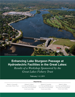 Enhancing Lake Sturgeon Passage at Hydroelectric Facilities in the Great Lakes: Results of a Workshop Sponsored by the Great Lakes Fishery Trust